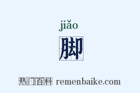 脚是什么意思的图片
